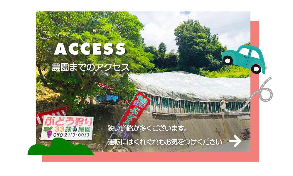 banner_half_access