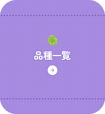 bnrmany_03
