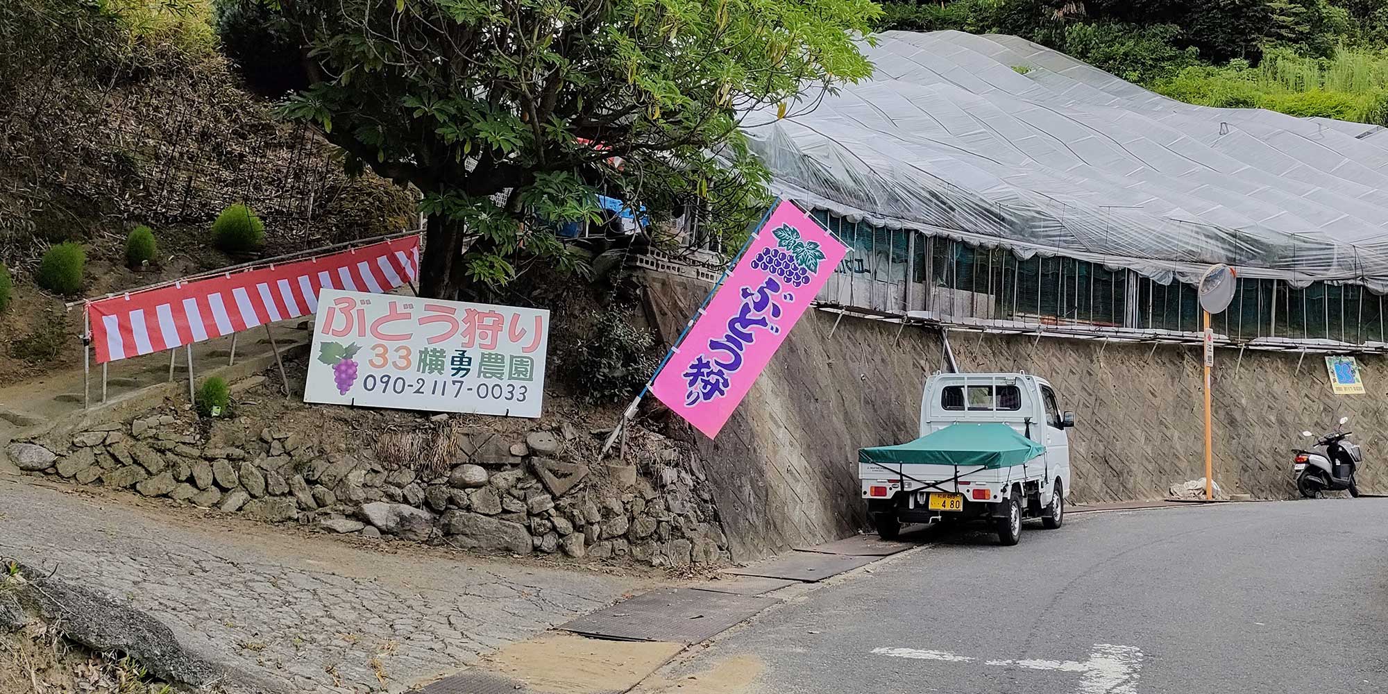 もいで、食べて、笑顔になる 甘い思い出は、ぶどう畑で。
